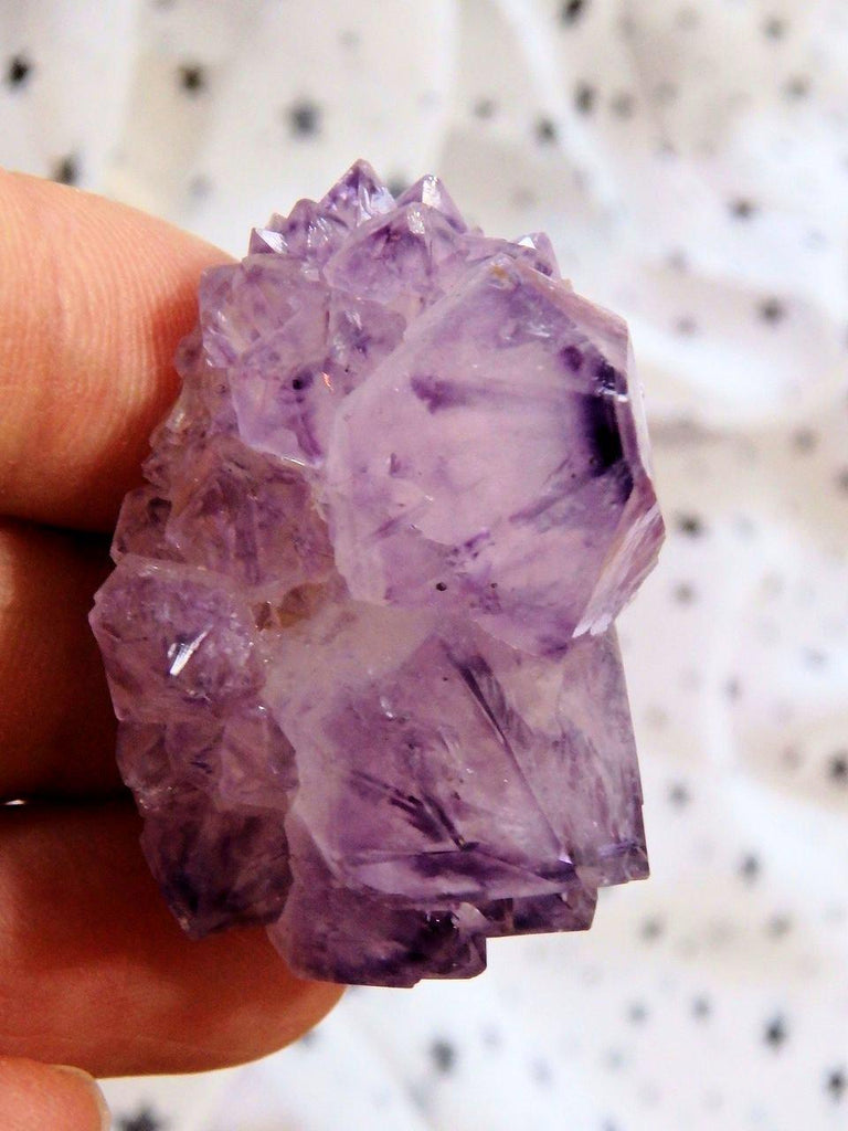 Lovely Sweet Purple Amethyst Spirit Quartz Button Cluster - Earth Family Crystals