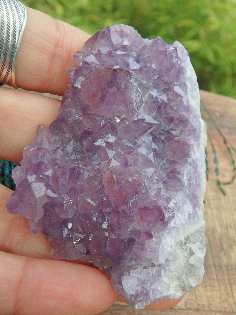 Brilliant Red Hematite Included Amethyst From Thunder Bay, Ontario, Canada - Earth Family Crystals