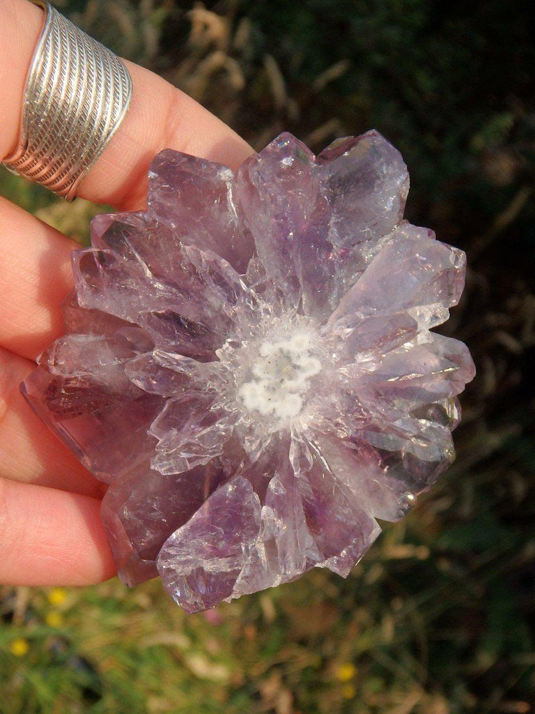 Brilliant Amethyst Stalactite Flower Partially Polished Specimen - Earth Family Crystals