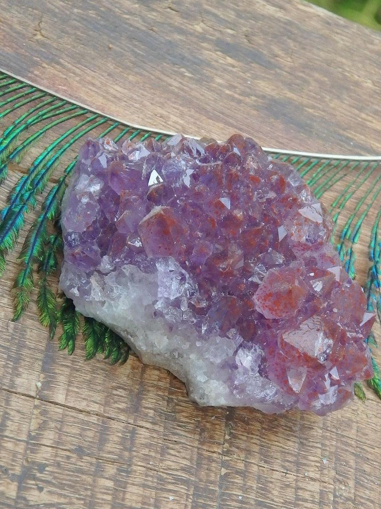 Red Hematite Included Amethyst Cluster From Ontario, Canada - Earth Family Crystals
