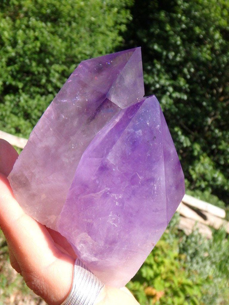 Absolutely Breathtaking! Unpolished Twin Bolivian Amethyst Display Specimen - Earth Family Crystals