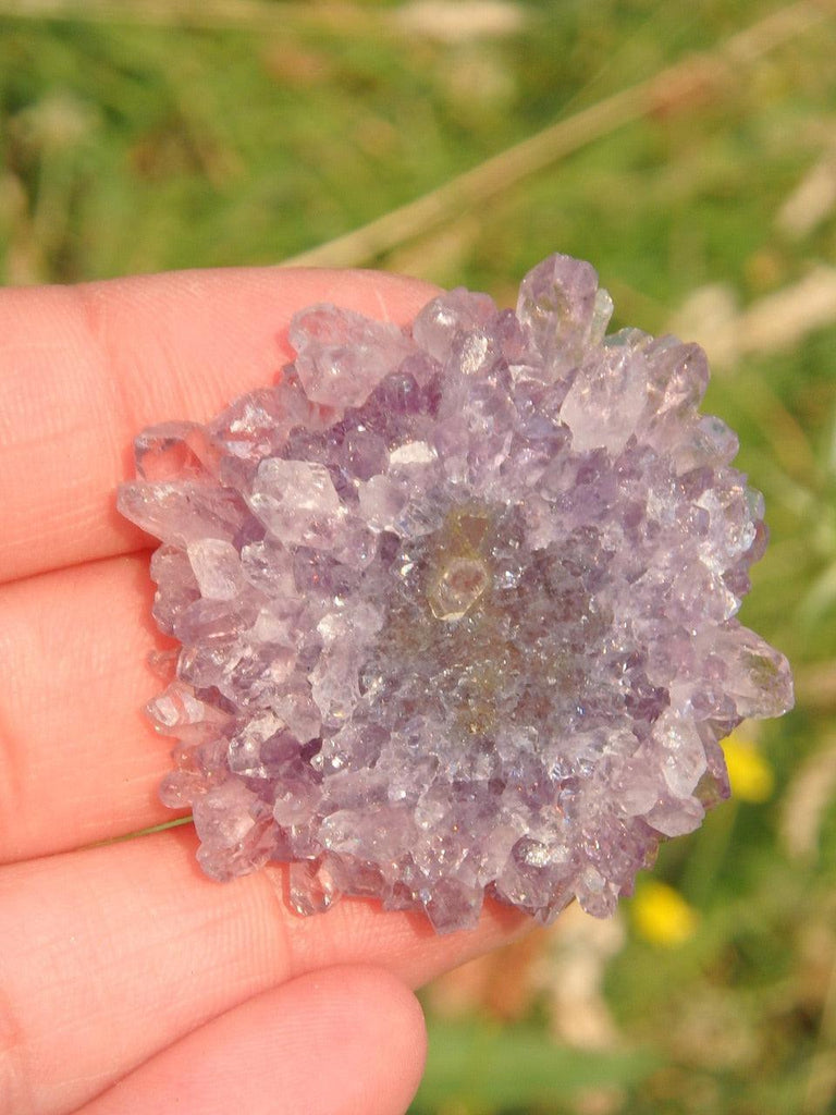 Incredible Formation  Amethyst Stalactite Flower Specimen - Earth Family Crystals