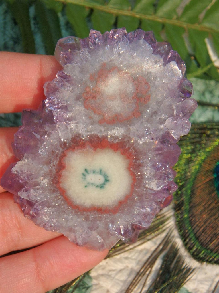 Fabulous Amethyst Stalactite Flower Partially Polished Specimen - Earth Family Crystals