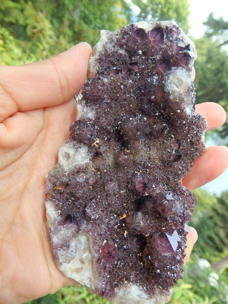 Exquisite Deep Purple Large Amethyst Spirit Quartz Cluster - Earth Family Crystals