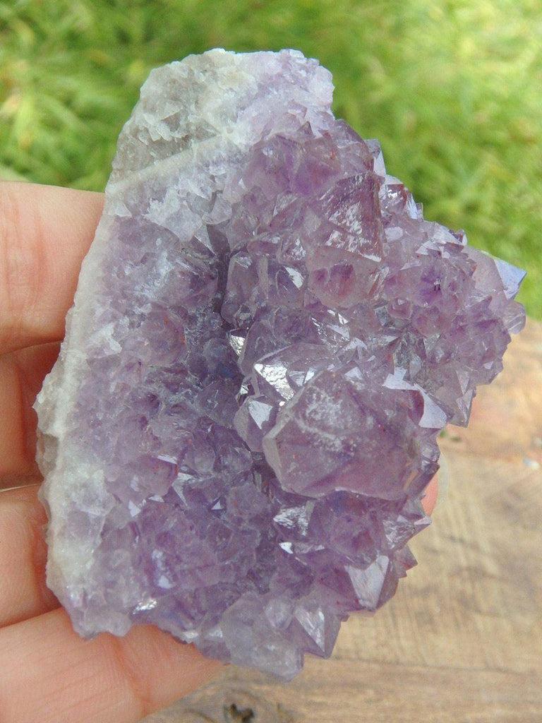 Brilliant Red Hematite Included Amethyst From Thunder Bay, Ontario, Canada - Earth Family Crystals