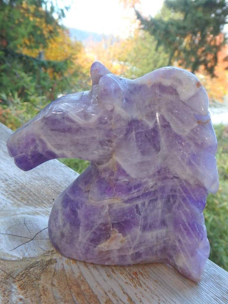Intricately Hand Carved Breathtaking Amethyst Horse Head Display Specimen - Earth Family Crystals