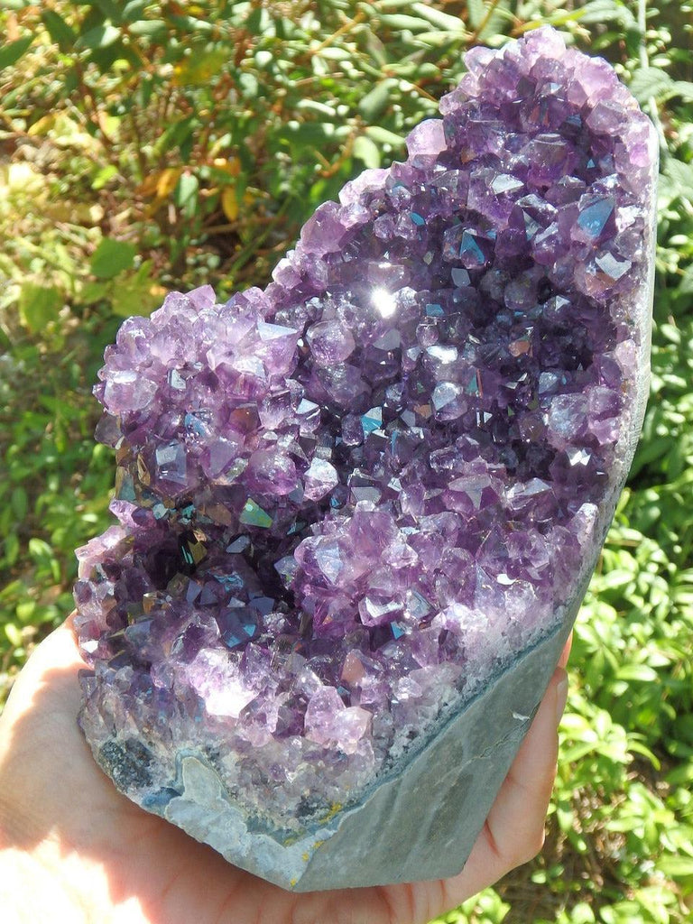 Incredible XL Display Amethyst With Unusual & Gorgeous Stalactite Flower Inclusion Specimen - Earth Family Crystals