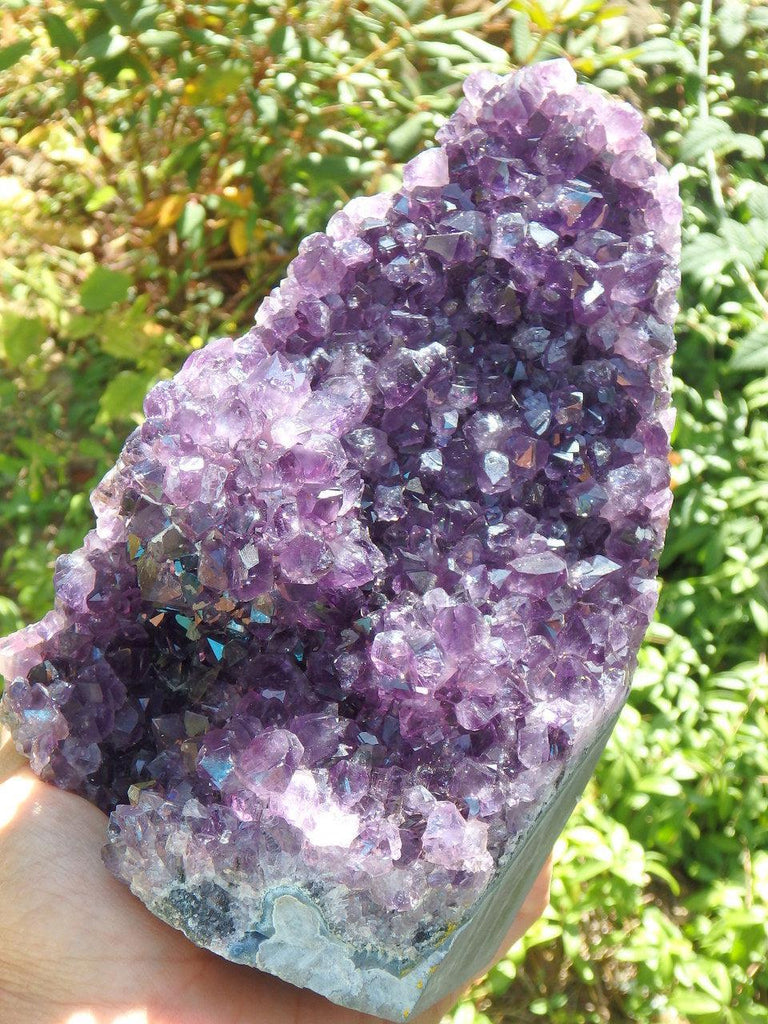 Incredible XL Display Amethyst With Unusual & Gorgeous Stalactite Flower Inclusion Specimen - Earth Family Crystals