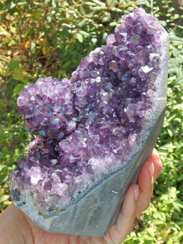 Incredible XL Display Amethyst With Unusual & Gorgeous Stalactite Flower Inclusion Specimen - Earth Family Crystals