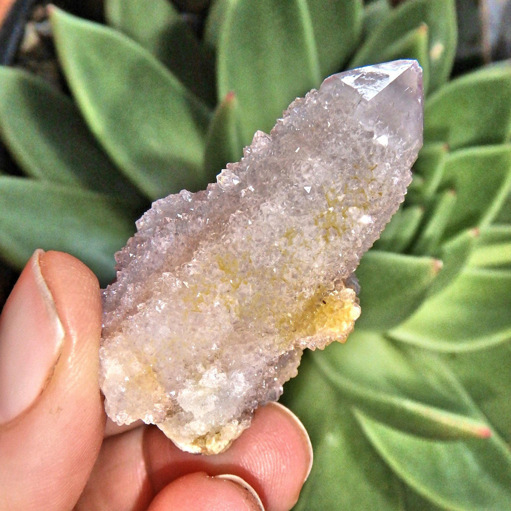 Cute Natural Ametrine Spirit Quartz Point~ Perfect For Crafting - Earth Family Crystals