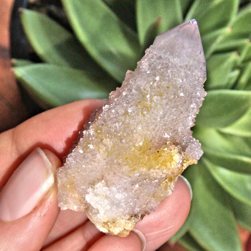 Cute Natural Ametrine Spirit Quartz Point~ Perfect For Crafting - Earth Family Crystals