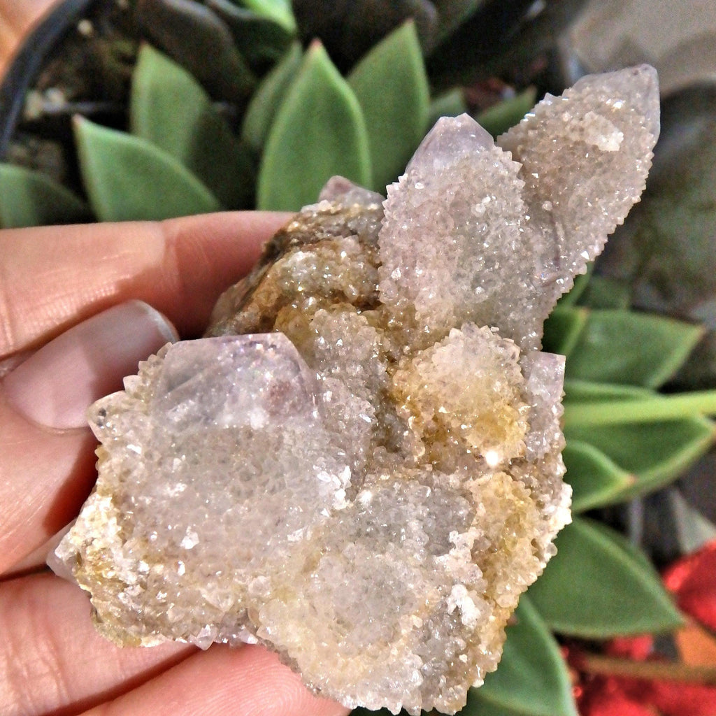 Fairy Sparkles Ametrine Spirit Quartz Cluster 1 - Earth Family Crystals