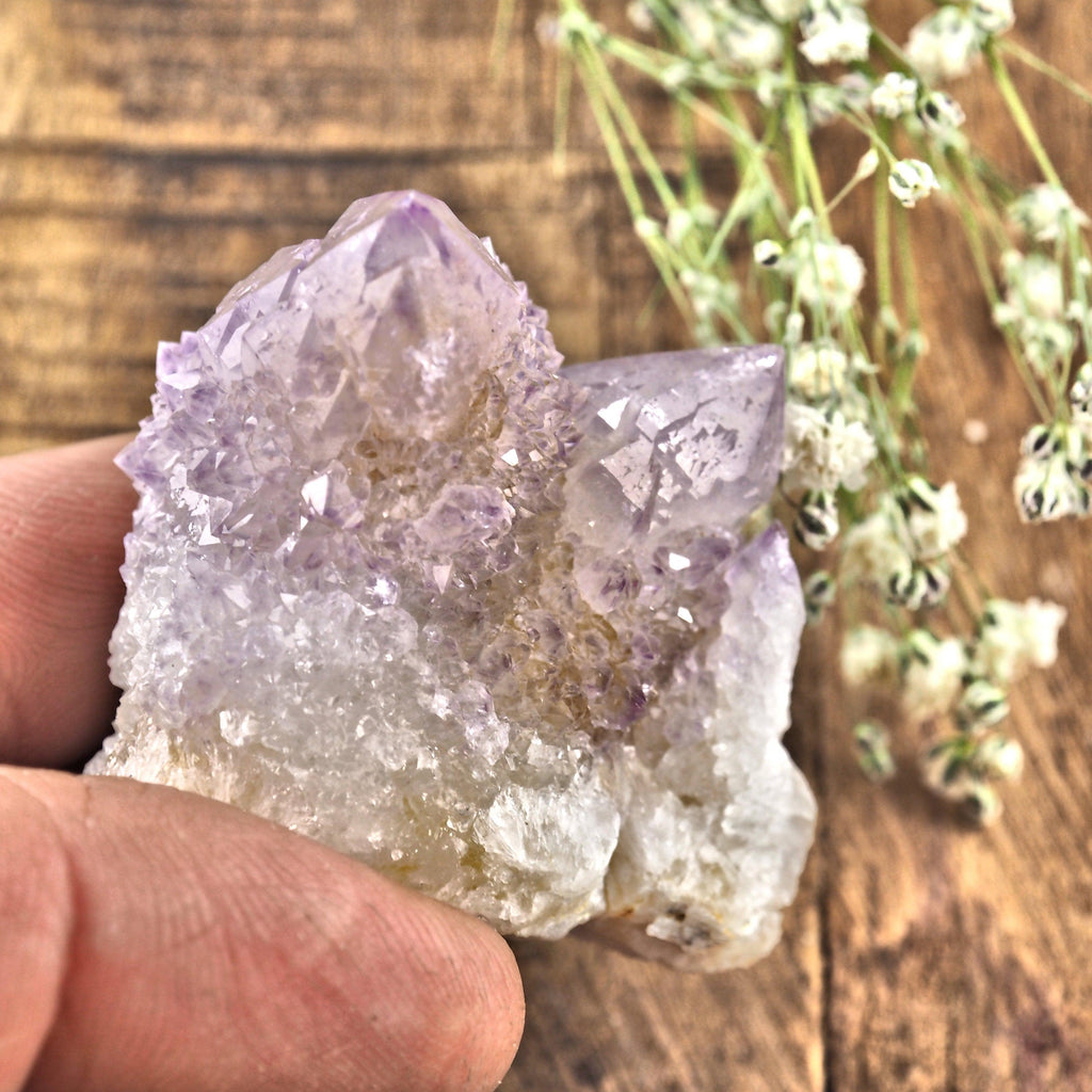 Sparkling Ametrine Spirit Quartz Specimen South Africa #1 - Earth Family Crystals