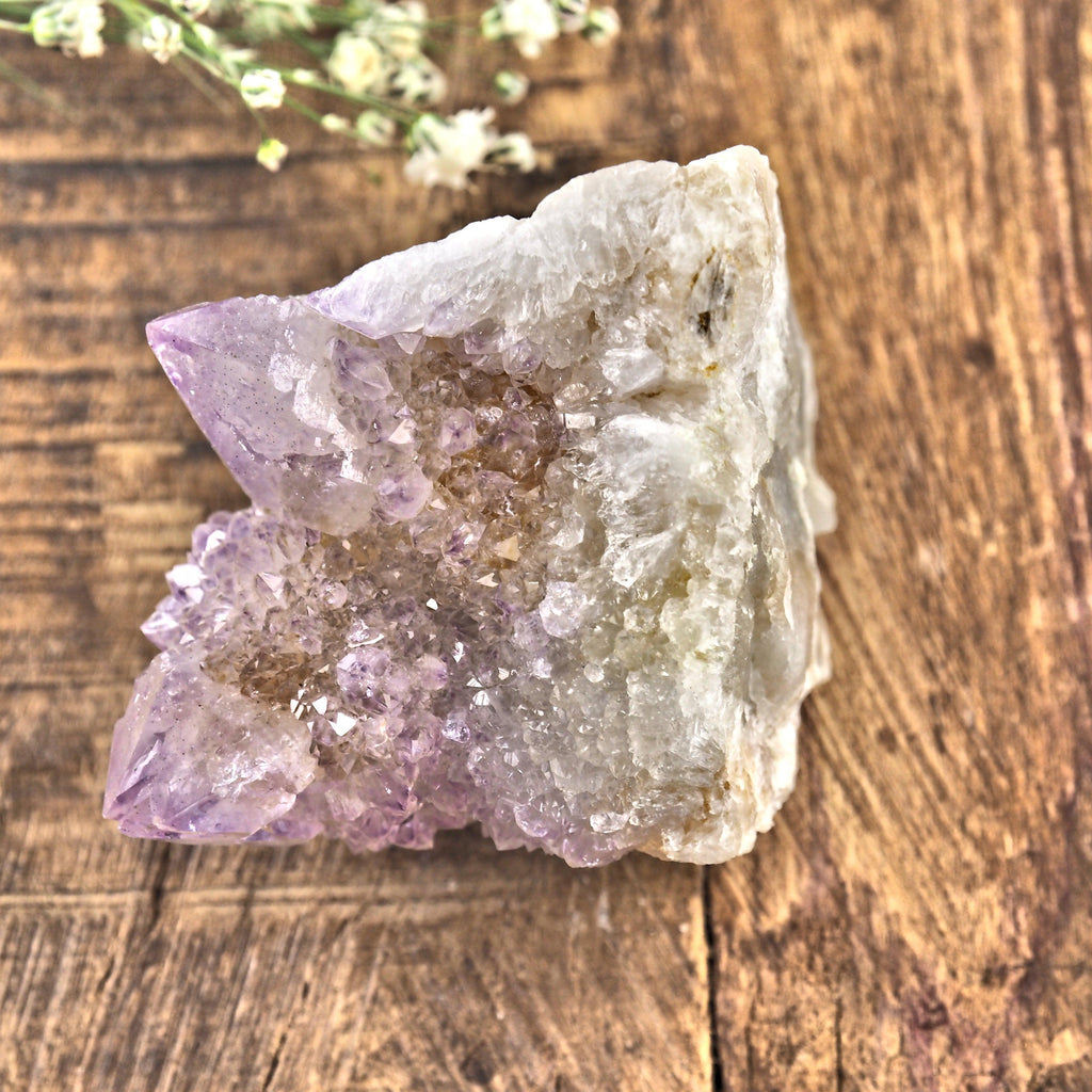 Sparkling Ametrine Spirit Quartz Specimen South Africa #1 - Earth Family Crystals