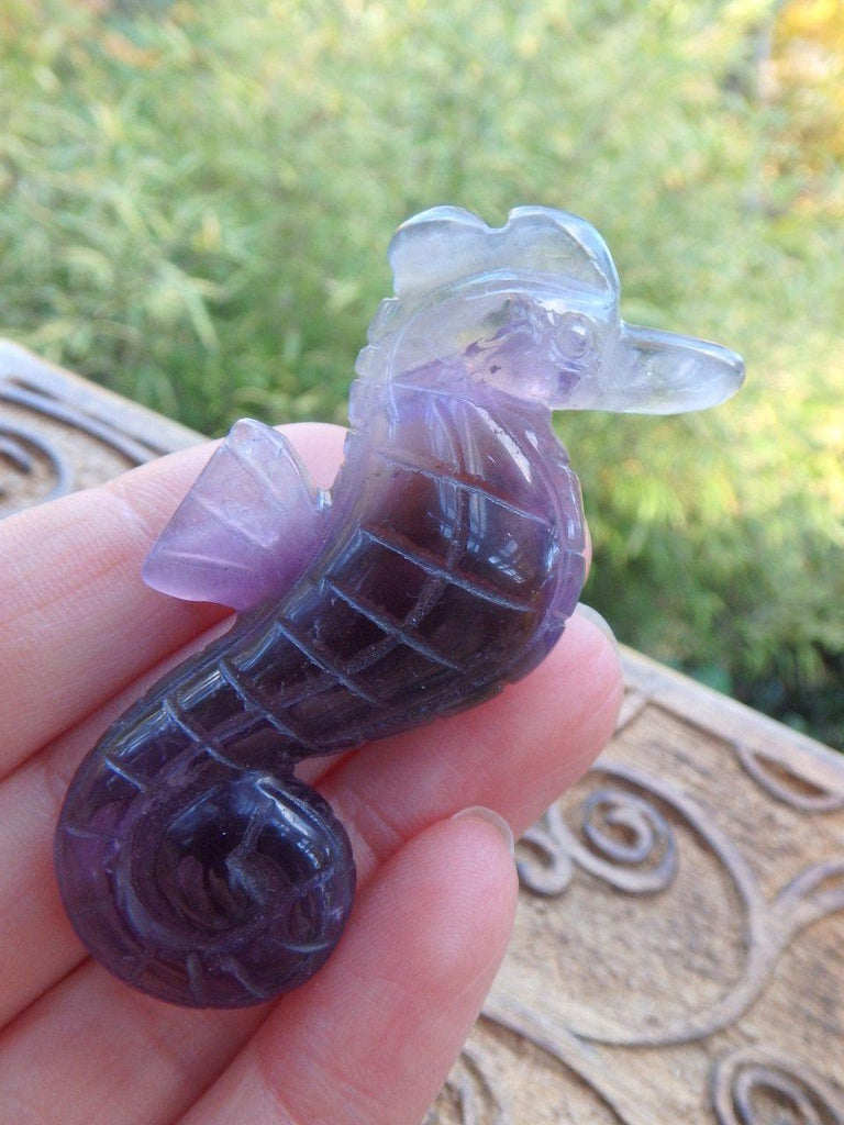 Amazing Ametrine & Green Prasiolite Seahorse Carving - Earth Family Crystals