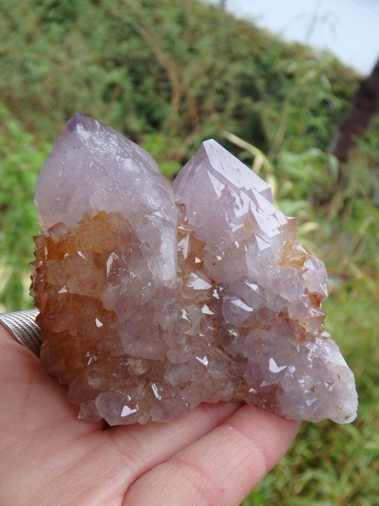 Gorgeous Large Twin Ametrine Spirit Quartz Cluster With Record Keepers - Earth Family Crystals