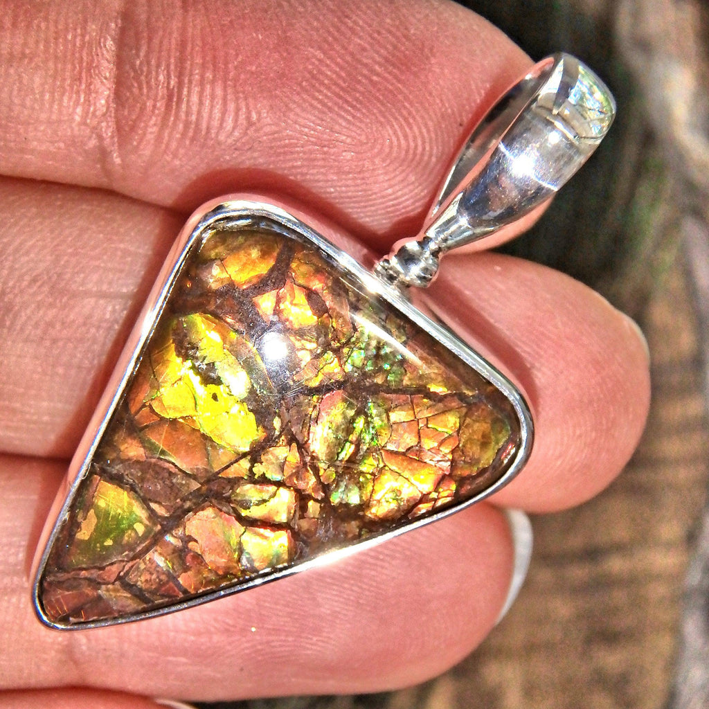 Vibrant Flashes of Color Alberta Ammolite Pendant in Sterling Silver (Includes Silver Chain) - Earth Family Crystals