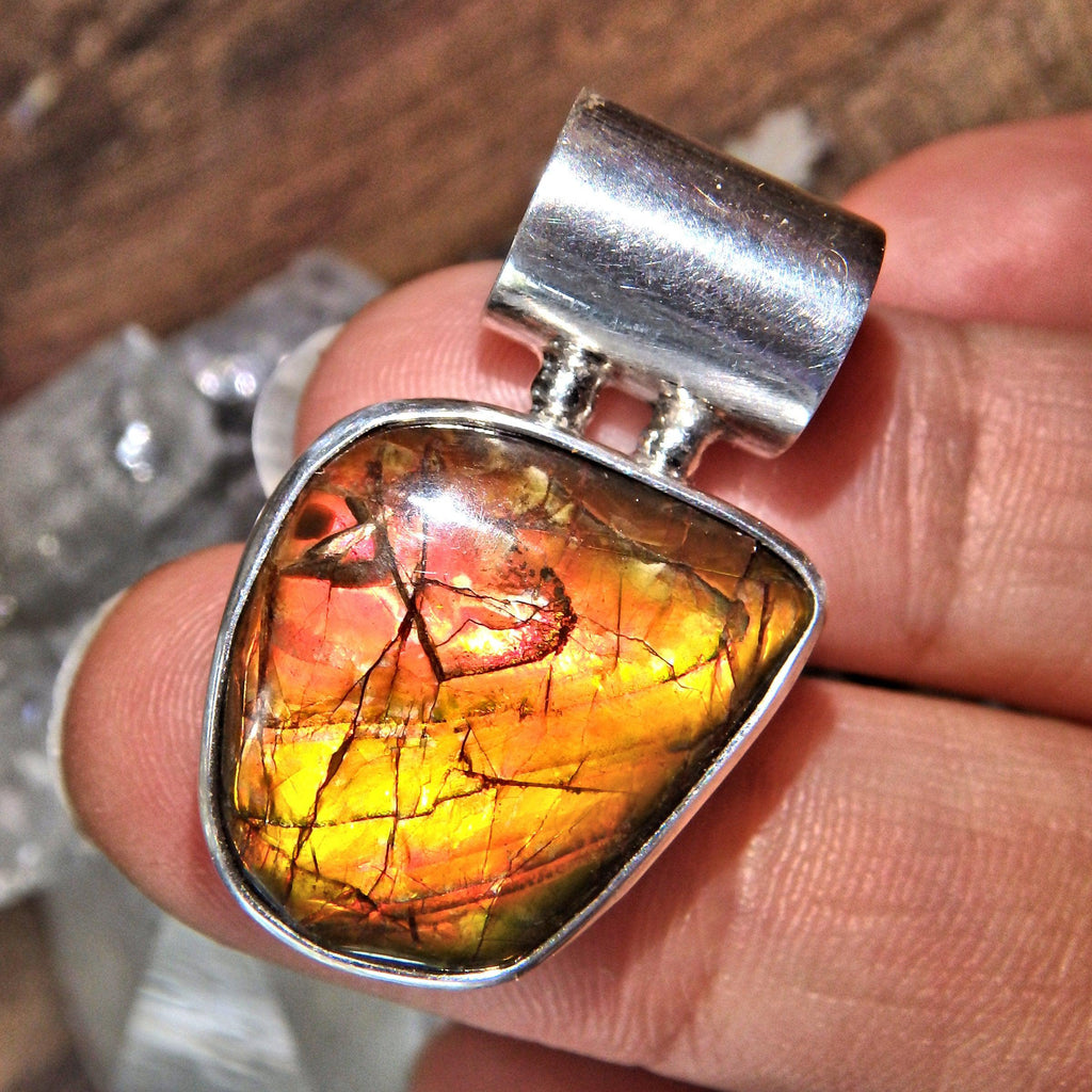 Vibrant Flashes of Color Ammolite Sterling Silver Pendant (Includes Silver Chain) - Earth Family Crystals