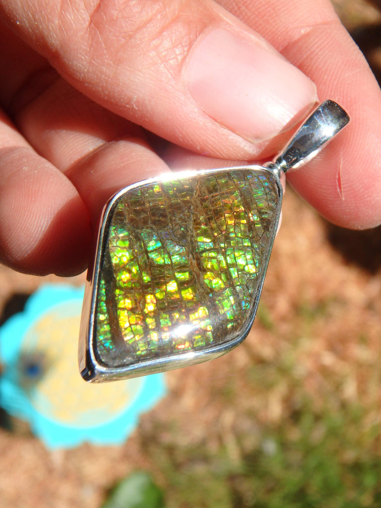 Terrific Rainbow Sparkle Alberta Ammolite Pendant in Sterling Silver (Includes Silver Chain) - Earth Family Crystals