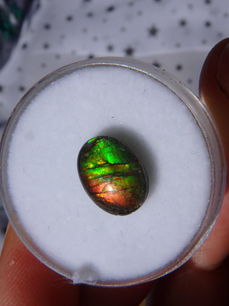 Gorgeous Flashes Quartz Capped  Alberta Ammolite Cabochon For Jewellery Making 4 - Earth Family Crystals