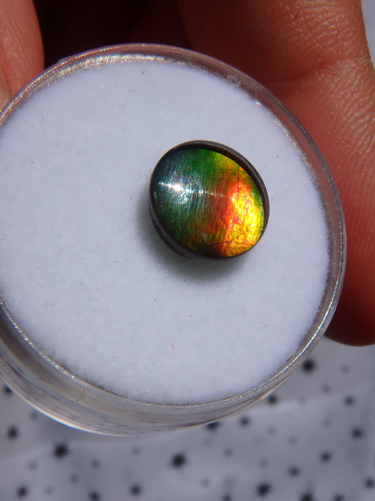 Gorgeous Flashes Quartz Capped  Alberta Ammolite Cabochon For Jewellery Making 1 - Earth Family Crystals
