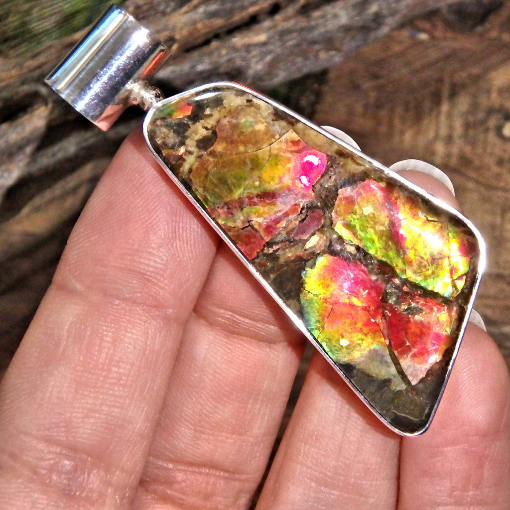 Incredible Green & Red Flashes Long & Chunky Alberta Ammolite Sterling Silver Pendant (Includes Silver Chain) - Earth Family Crystals