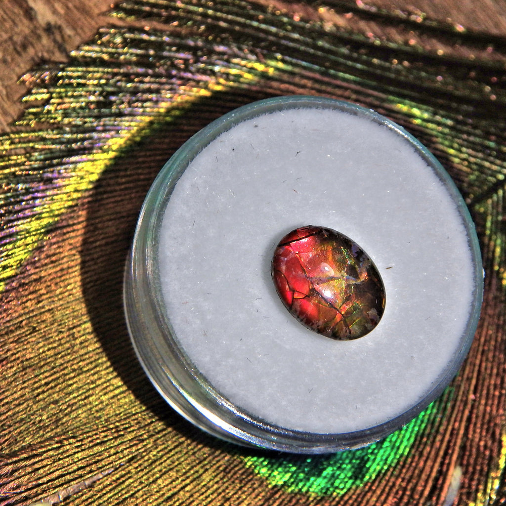 Dainty Ammolite Quartz Capped Cabochon Perfect for Crafting 1 - Earth Family Crystals