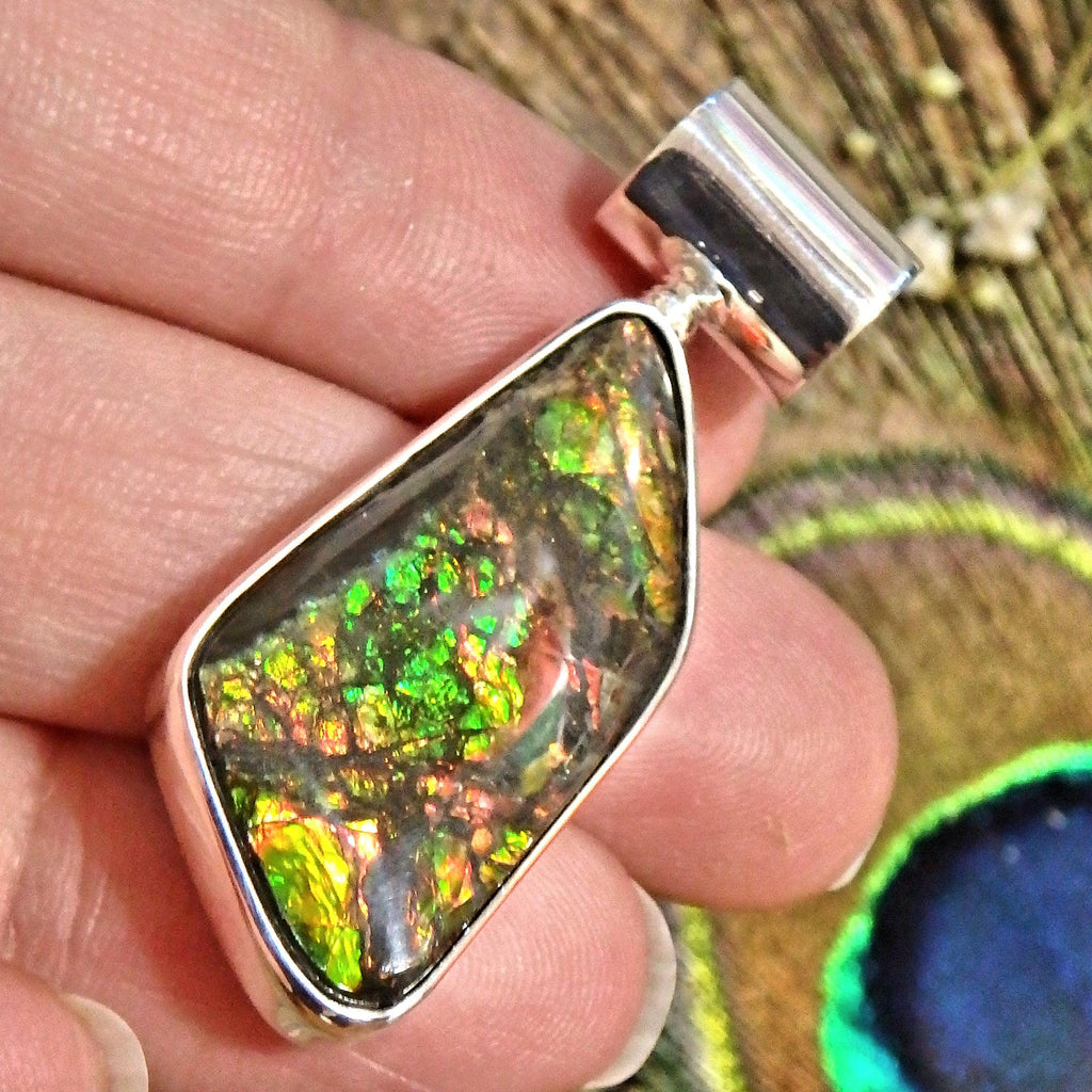 Twinkles of Vibrant Color Alberta Ammolite Sterling Silver Pendant (Includes Silver Chain) - Earth Family Crystals