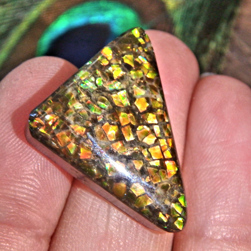 Multi Color Sparkle Alberta Ammolite Cabochon Ideal for Crafting - Earth Family Crystals