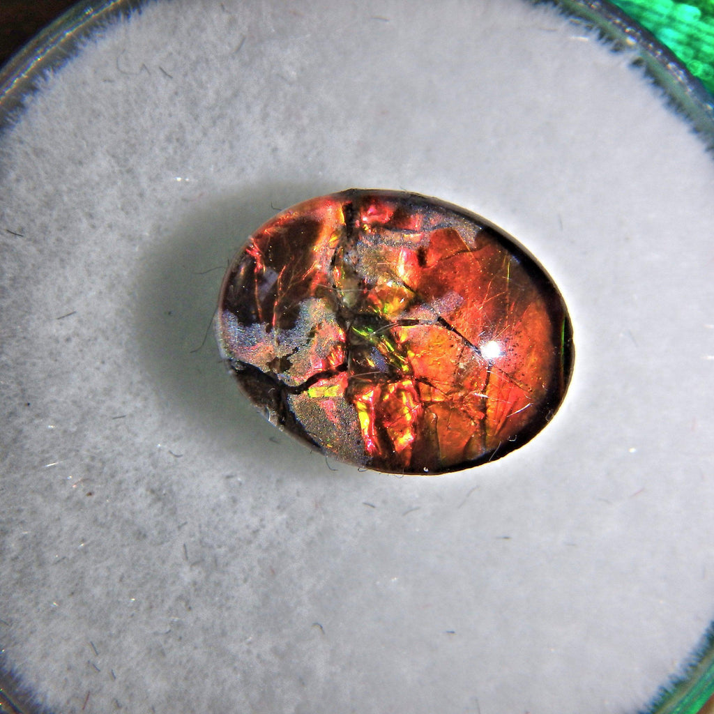 Dainty Ammolite Quartz Capped Cabochon Perfect for Crafting 2 - Earth Family Crystals