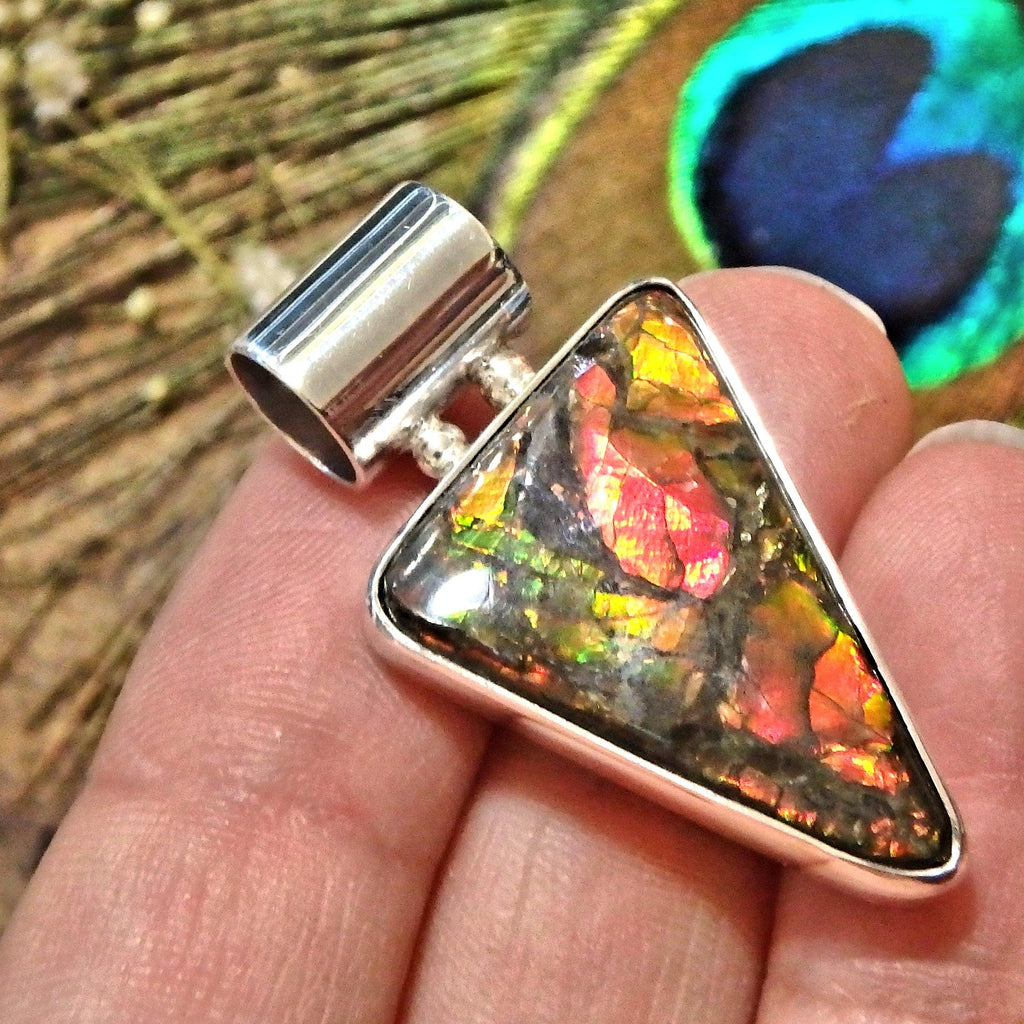 Gorgeous Bright Colors of Flash Alberta Ammolite Sterling Silver Pendant (Includes Silver Chain) - Earth Family Crystals
