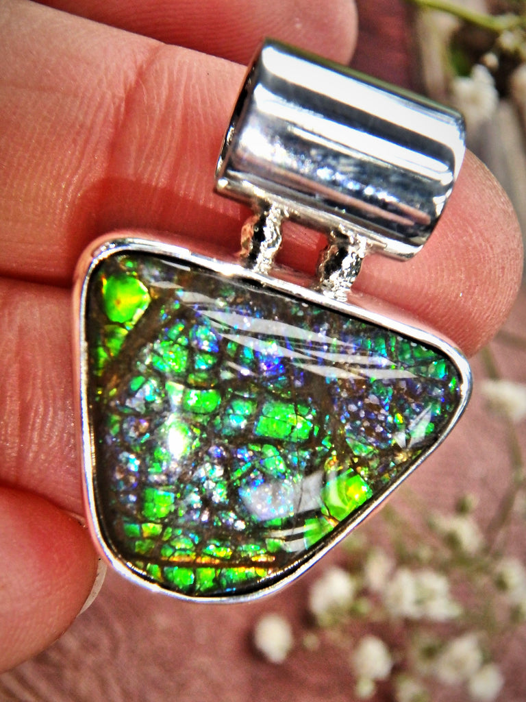 Green, Purple & Blue Flash Alberta Ammolite Sterling Silver Pendant (Includes Silver Chain) - Earth Family Crystals