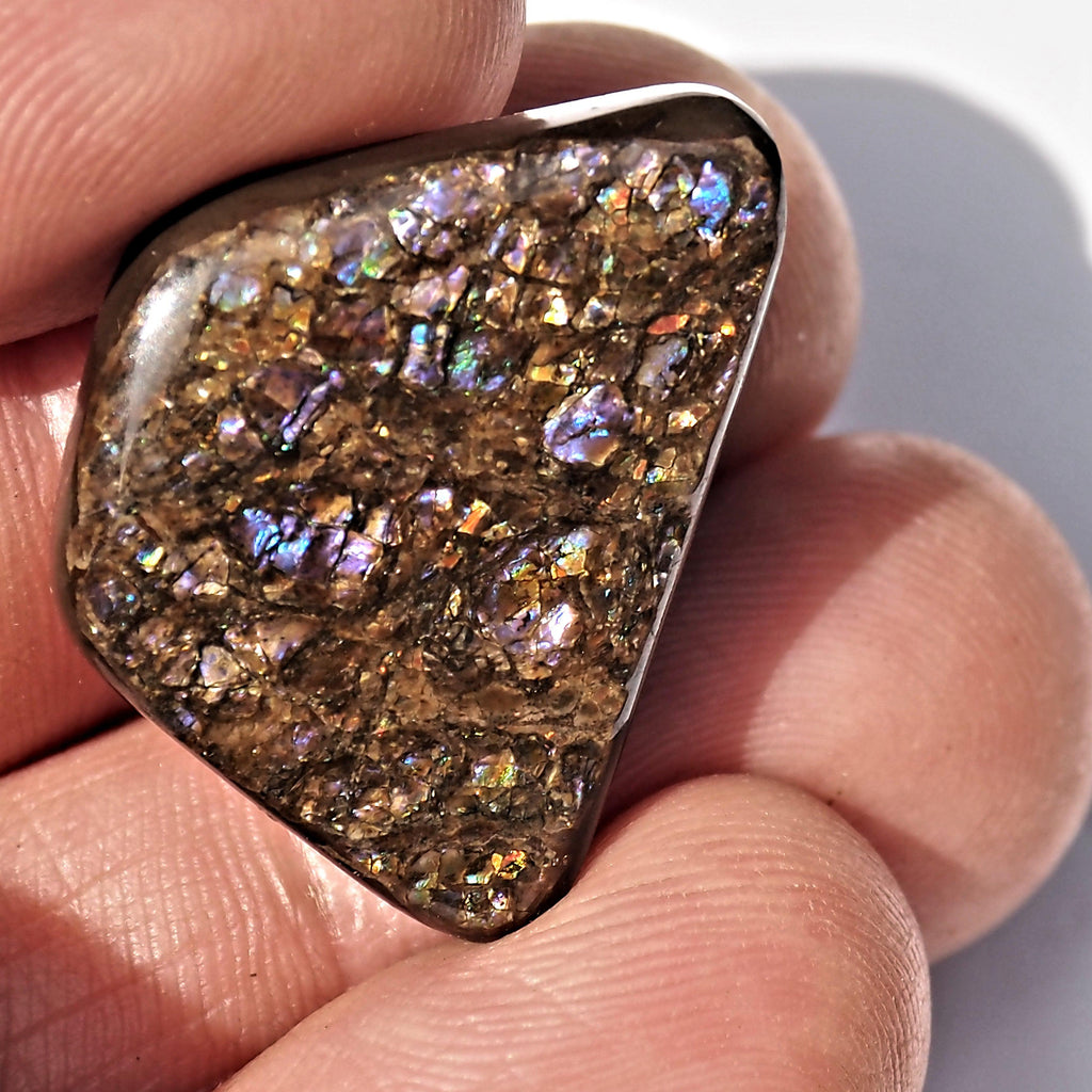 Rare Purple Flashes Alberta Ammolite Cabochon Ideal for Crafting #1 - Earth Family Crystals