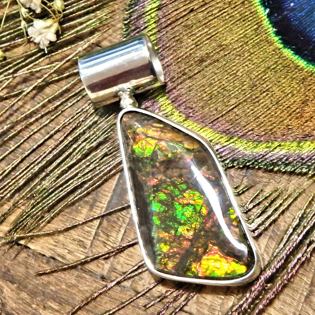 Twinkles of Vibrant Color Alberta Ammolite Sterling Silver Pendant (Includes Silver Chain) - Earth Family Crystals