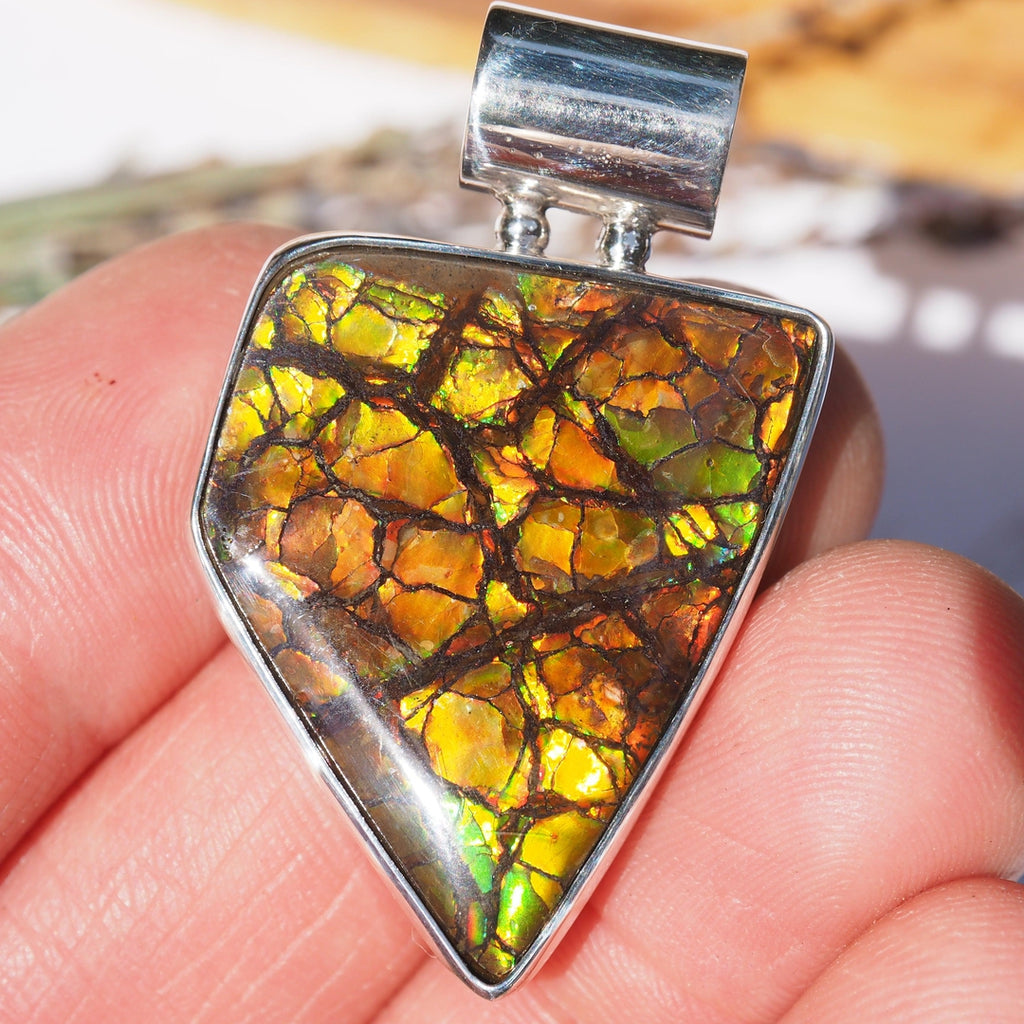 Lovely Natural Flashes Alberta Ammolite Pendant in Sterling Silver (Includes Silver Chain) #2 - Earth Family Crystals