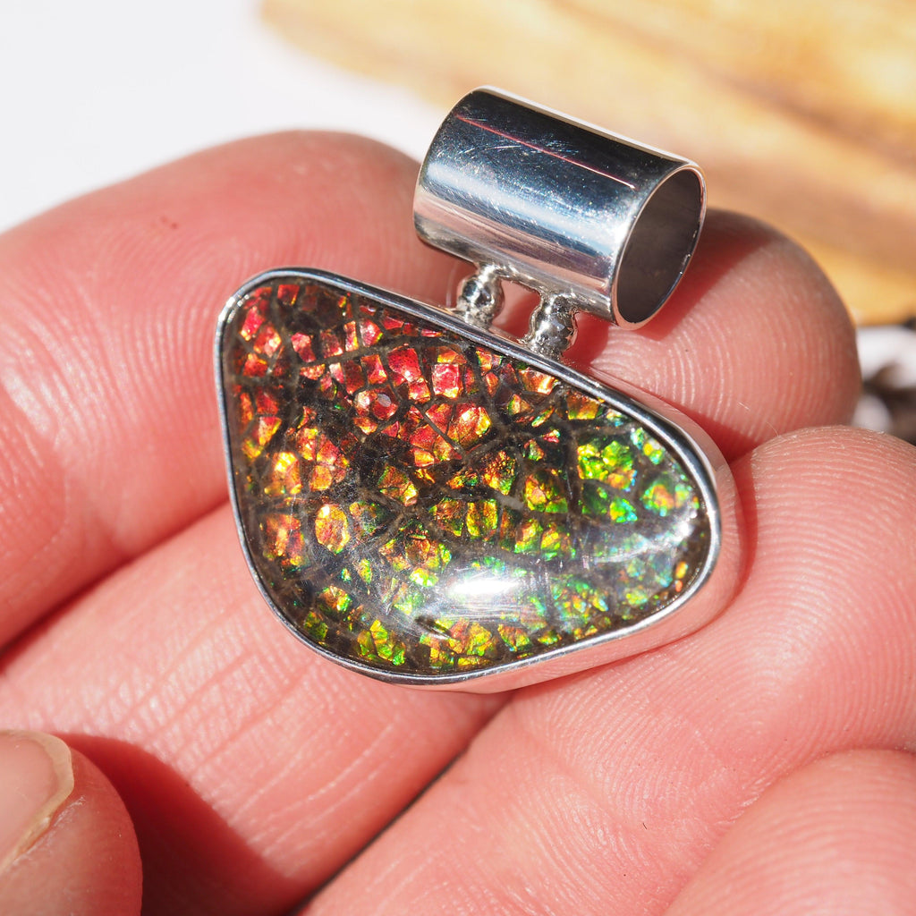 Beautiful Green & Red Alberta Ammolite Pendant in Sterling Silver (Includes Silver Chain) #1 - Earth Family Crystals