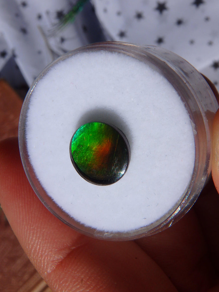 Gorgeous Flashes Quartz Capped  Alberta Ammolite Cabochon For Jewellery Making 1 - Earth Family Crystals