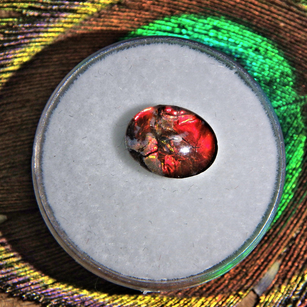 Dainty Ammolite Quartz Capped Cabochon Perfect for Crafting 2 - Earth Family Crystals
