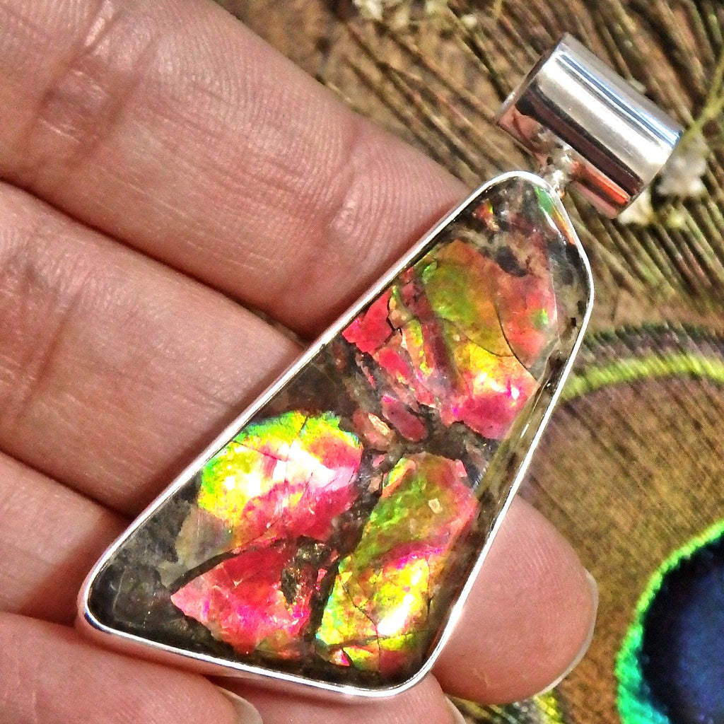 Incredible Green & Red Flashes Long & Chunky Alberta Ammolite Sterling Silver Pendant (Includes Silver Chain) - Earth Family Crystals