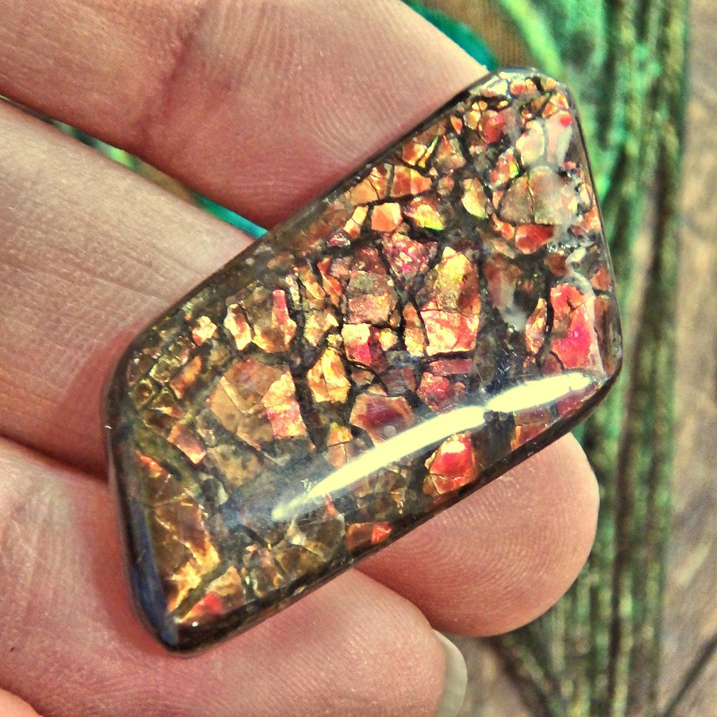Moving Fiery Red Flashes Alberta Ammolite Cabochon Ideal for Crafting - Earth Family Crystals