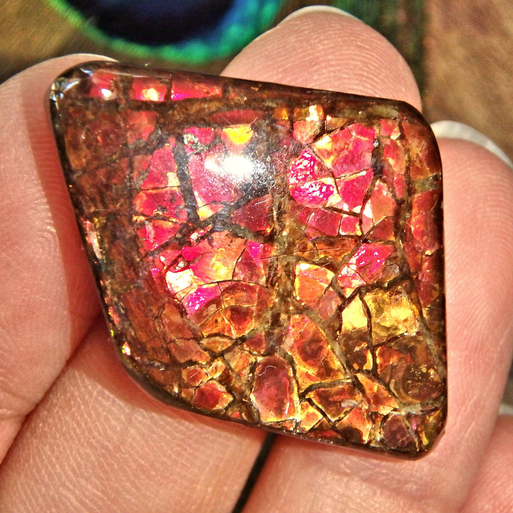 Moving Blood Red Sparkle Alberta Ammolite Cabochon Ideal for Crafting - Earth Family Crystals