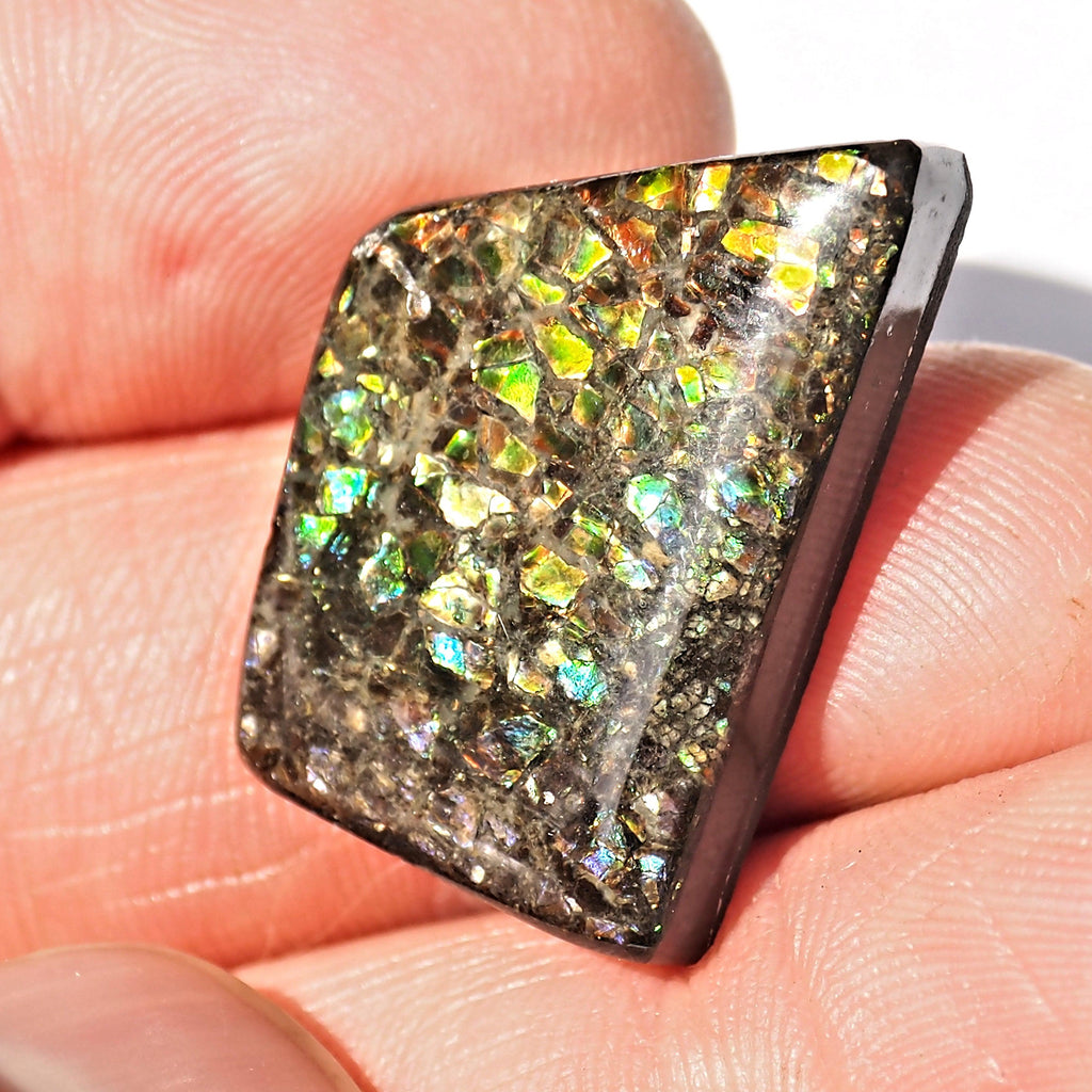 Rare Purple & Blue Flashes Alberta Ammolite Cabochon Ideal for Crafting #1 - Earth Family Crystals