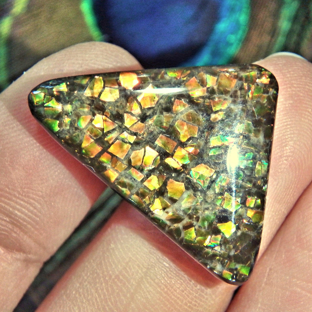 Multi Color Sparkle Alberta Ammolite Cabochon Ideal for Crafting - Earth Family Crystals