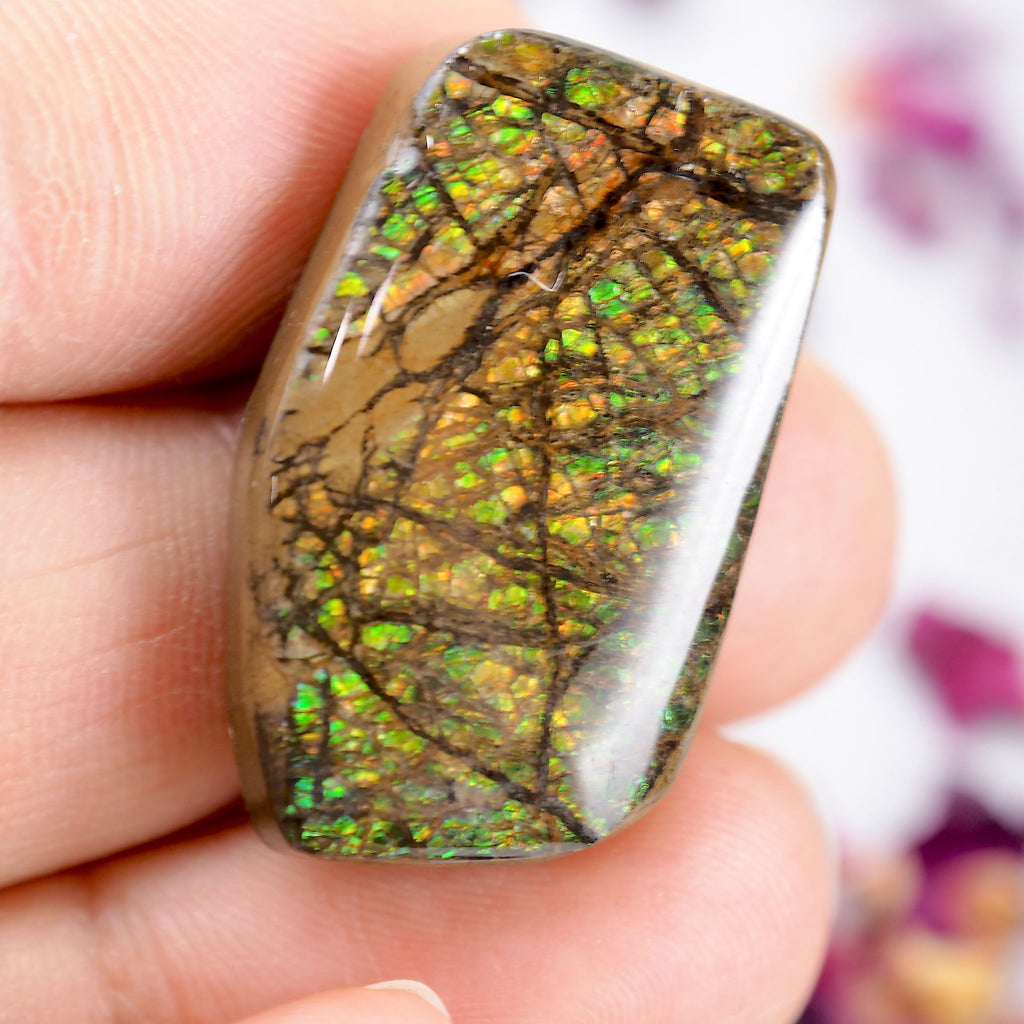 Orange & Green Alberta Ammolite Free Form Cabochon~Perfect for Crafting! - Earth Family Crystals