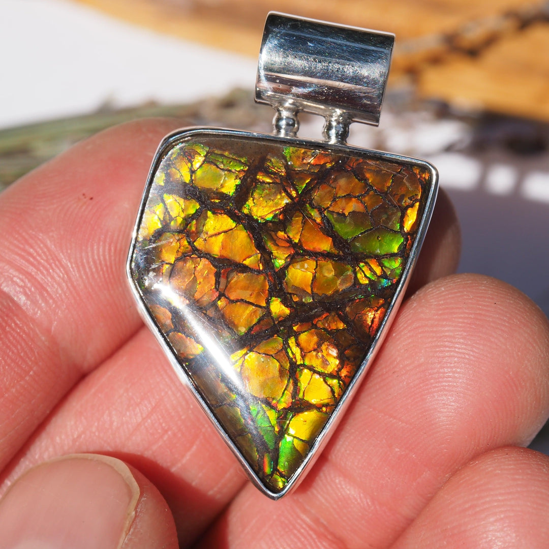 Lovely Natural Flashes Alberta Ammolite Pendant in Sterling Silver (Includes Silver Chain) #2 - Earth Family Crystals