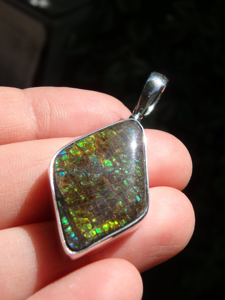Terrific Rainbow Sparkle Alberta Ammolite Pendant in Sterling Silver (Includes Silver Chain) - Earth Family Crystals