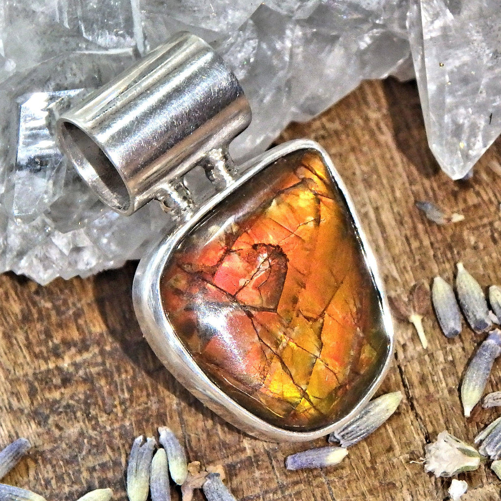 Vibrant Flashes of Color Ammolite Sterling Silver Pendant (Includes Silver Chain) - Earth Family Crystals
