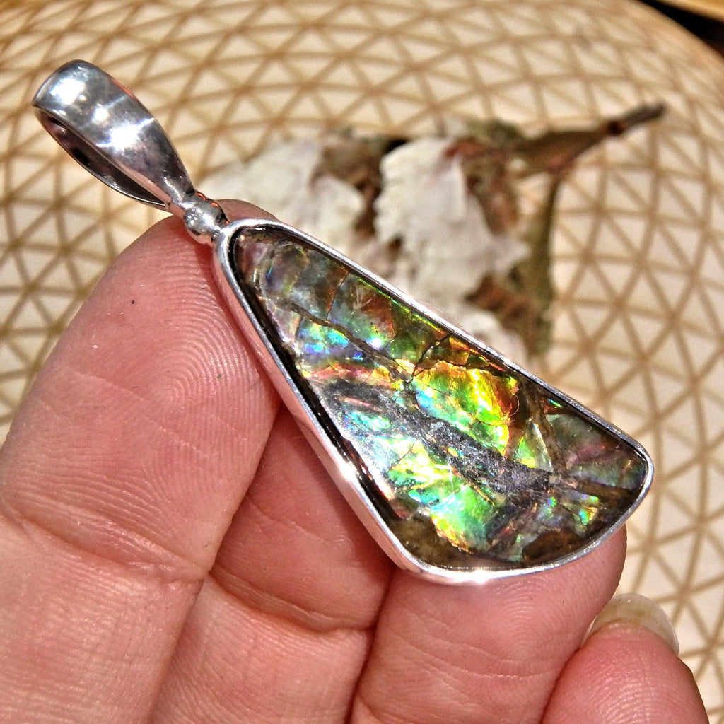 Fabulous Rainbow of Colors Ammolite Healing  Pendant in Sterling Silver (Includes Silver Chain) - Earth Family Crystals