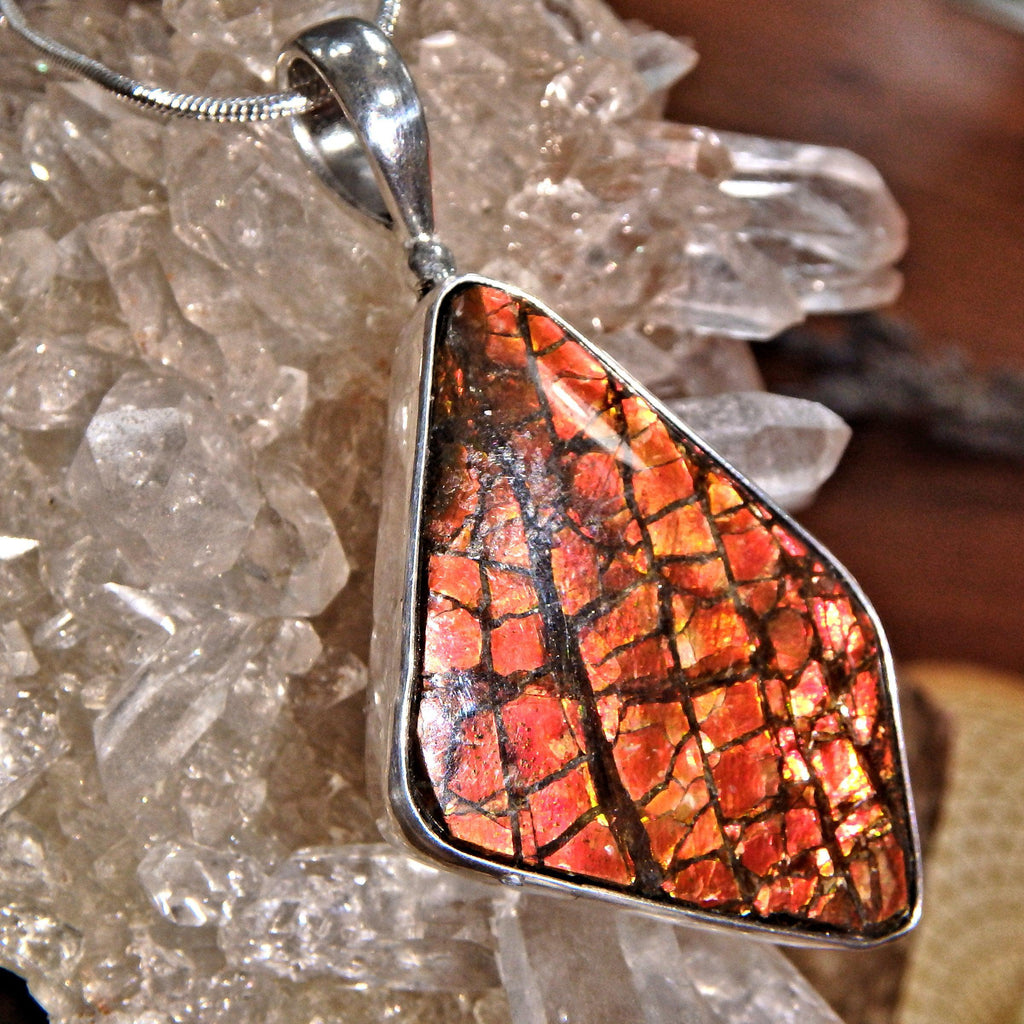 Large Fire Red Flash Alberta Ammolite  Pendant in Sterling Silver (Includes Silver Chain) - Earth Family Crystals