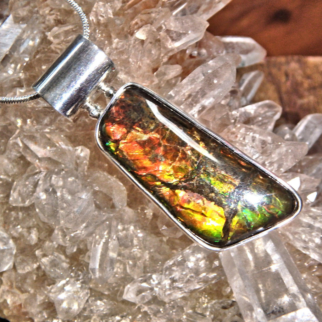 Lovely Flashes of Depth Ammolite  Pendant in Sterling Silver (Includes Silver Chain) - Earth Family Crystals